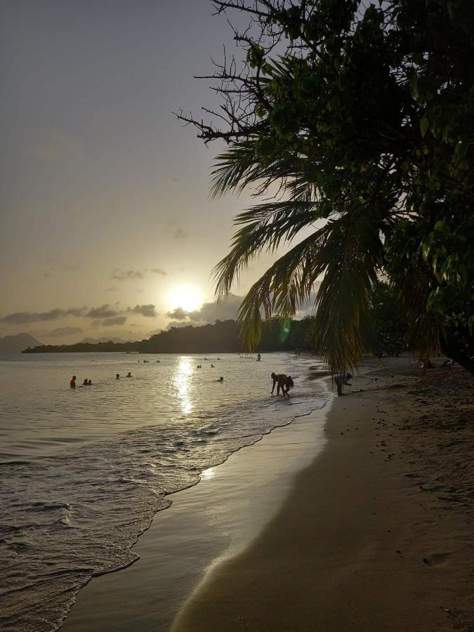 Studio Des Flots - Tartane Martinique Ла Трините Екстериор снимка