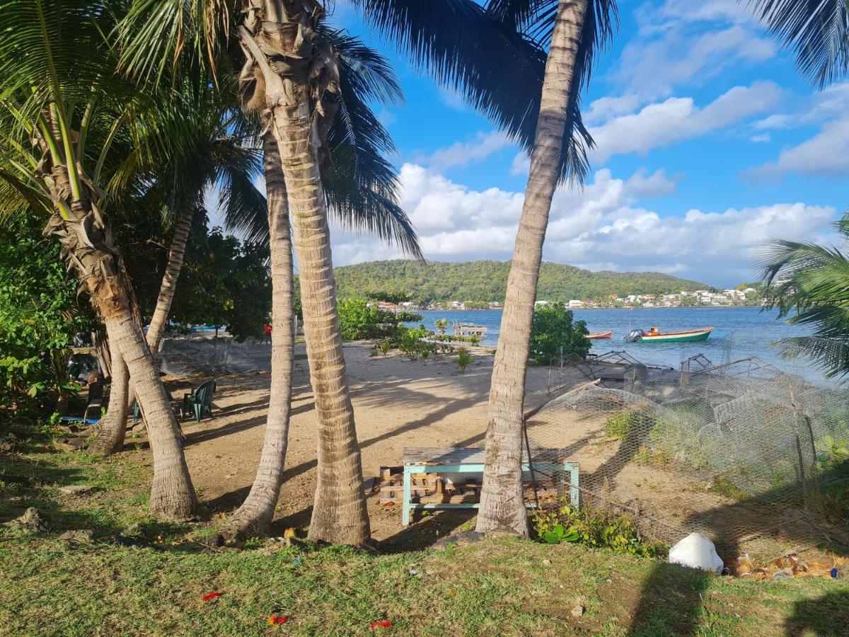 Studio Des Flots - Tartane Martinique Ла Трините Екстериор снимка